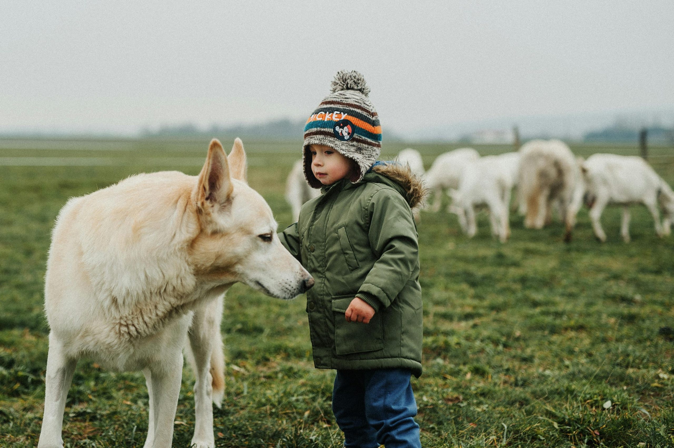 Masterclass: Reiki aan kinderen en dieren