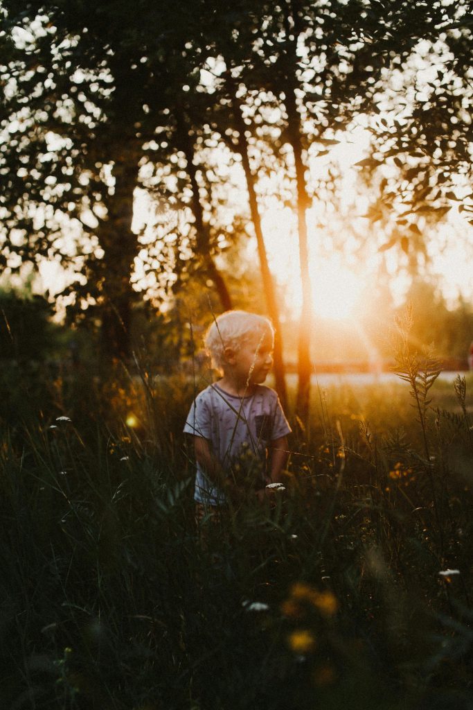 Groepssessie: reiki geven aan je (innerlijk) kind of dier