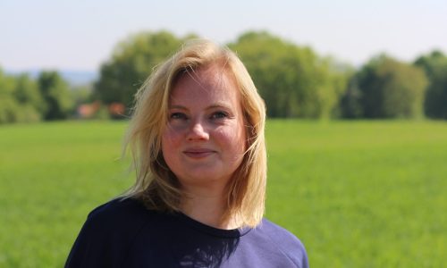 Hoe werkt manifesteren écht? Wat kan reiki hierin betekenen? Mét heel concrete tips om ermee aan de slag te gaan!