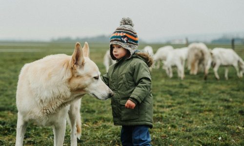 pexels-helen1-5880467