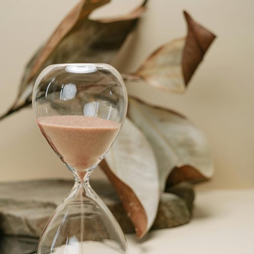 pexels-ivan-s-7703268