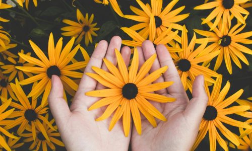 pexels-javon-swaby-197616-1697912