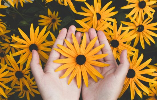 pexels-javon-swaby-197616-1697912